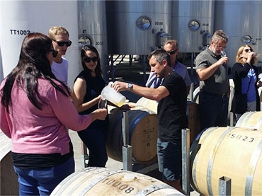 Hop n Grape wine & beer tours