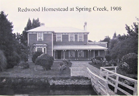 Redwood Homestead at Spring Creek, 1908